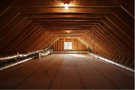 屋根裏の隙間からの侵入の様子