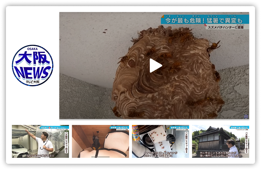 テレビ報道動画を見る